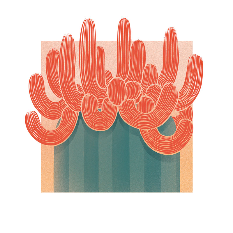 Illustration Conseil en talent management