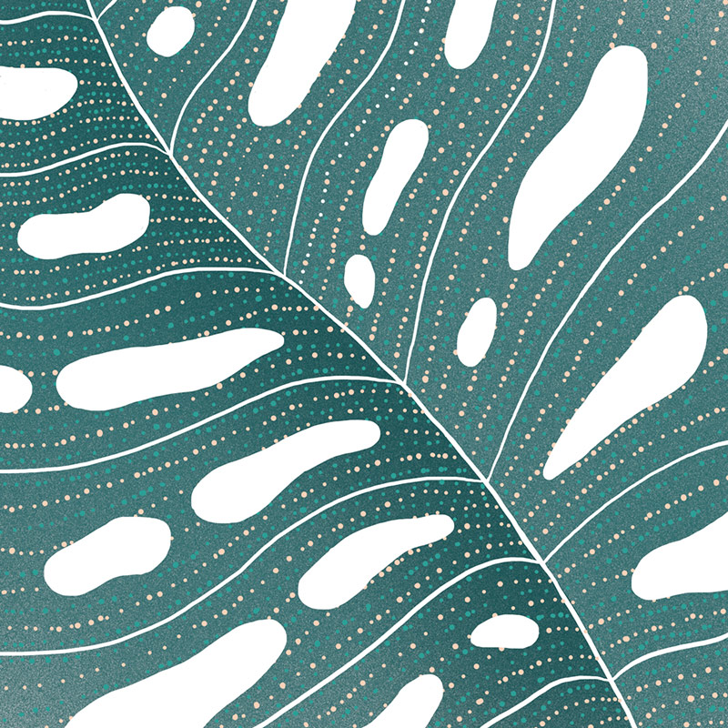 Illustration Accompagnement individuel