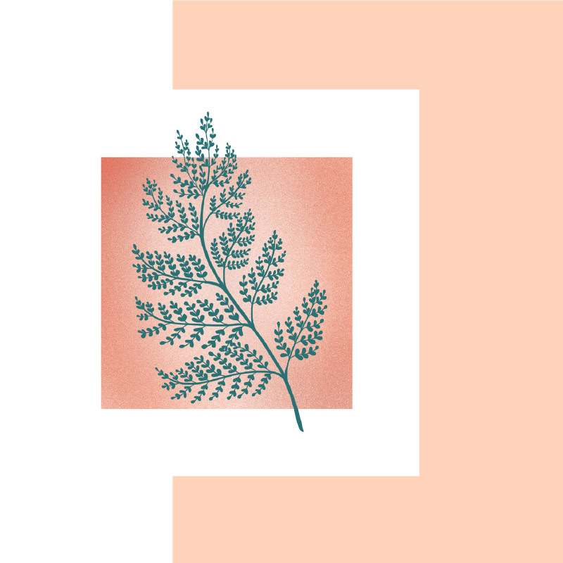 Illustration Offre proposée